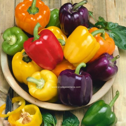 Paprika Miks Boja
