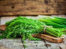 Domaca Aromantična Mirodjija