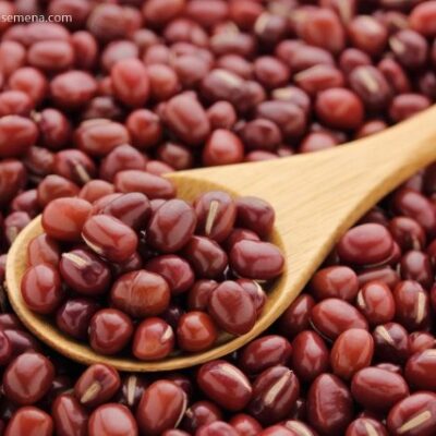Azuki pasulj (Vigna angularis)