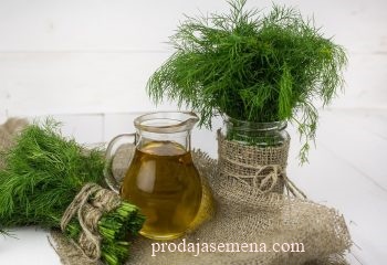 Domaca Aromantična Mirodjija