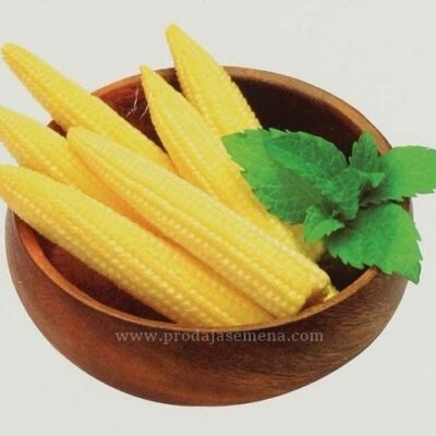 Secerac MiniGold Corn