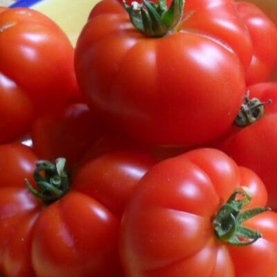 Marmande Paradajz (Francuska sorta)