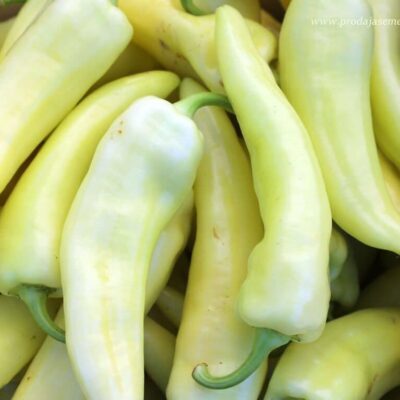 Paprika Duga Bela slatka