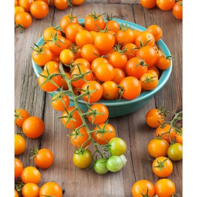 Chery-Čeri Tresnja Orange