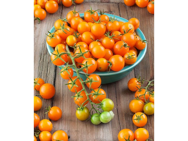 Chery-Čeri Tresnja Orange