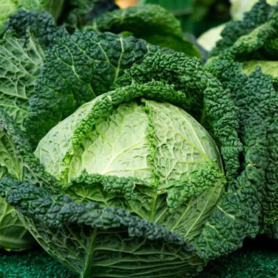 Kelj glavičasti zeleni (srednje vegetacije)