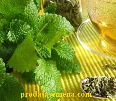 prodajasemena.com