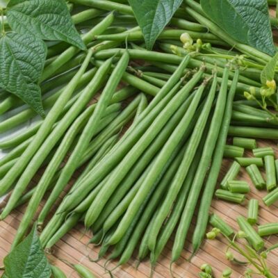 Boranija Top Crop (niska)