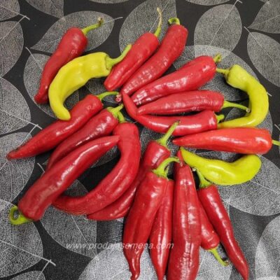 Paprika duga bela ( blago ljuta