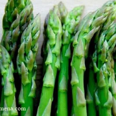 Špargla / Sparoga (Asparagus officinalis)