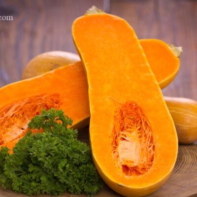 Tikvica Muskatna, Nektar