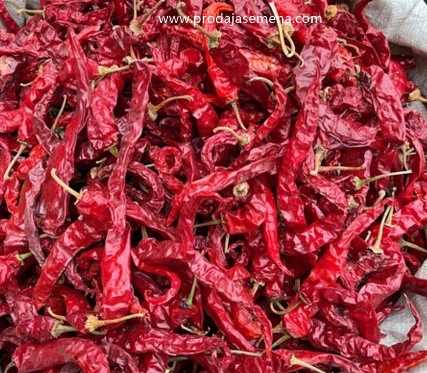 Domaća duga slatka začinska paprika (18 cm)