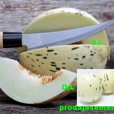 Melon Sugar Baby Matisse-Istovremeni ukus kruske-dinje