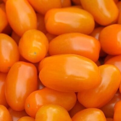 Orange Ceri (San Marzano Mini)