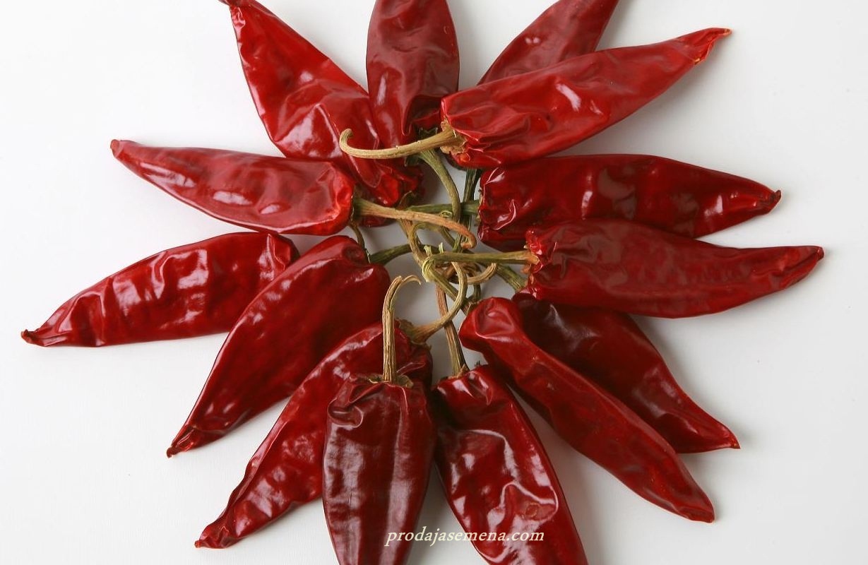 Paprika za Susenje (domaca slatka vencara)