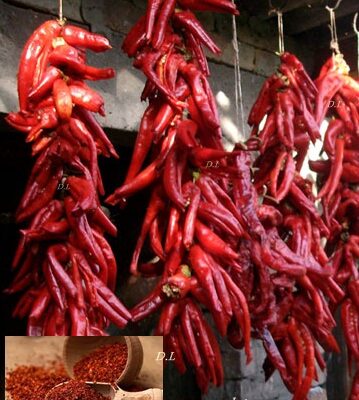 Paprika za Susenje (domaca slatka vencara)