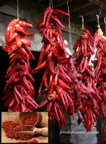 Paprika za Susenje (domaca slatka vencara)