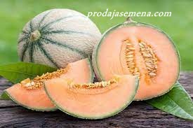 Cantaloupe Dinja