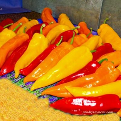 Paprika Markoni mix-150-180gr, izuzetnih kvaliteta