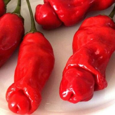 Petrov prst, Peter Pepper (seme)