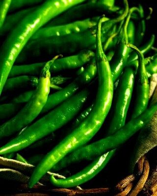 Gurmanska Paprika (rana)