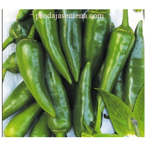 Green Meat Chilli (slična Jalapenu)