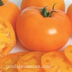 Orange Paradajz