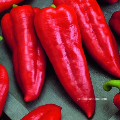 Zlatna Medalja Paprika(srednje rana)