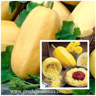 Špageti Tikvica (Spaghetti Squash)10 sem