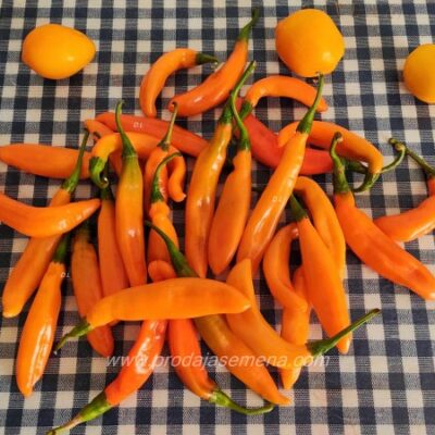 Orange Chili Bananica, blago ljuta