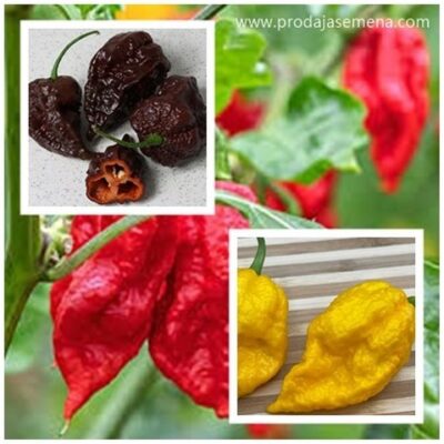 Naga Viper Hot Chilli Pepers mix