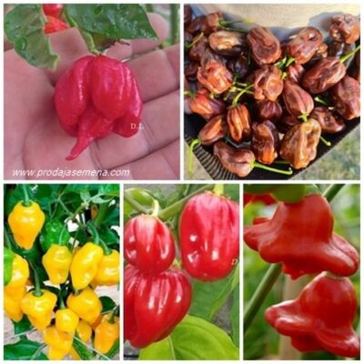 Premium Mix Chili Papričice
