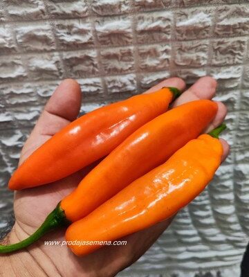 Narandzasta Banana chili
