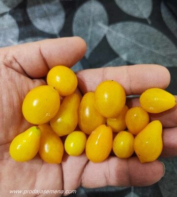 Lemon Mix Chery