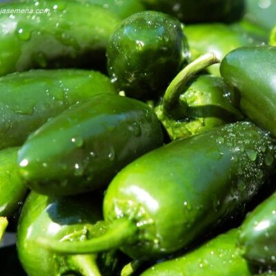 Seme, Jalapeno Classic & Halapenjo chili papričica