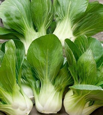 Pak choy (Bok choy)