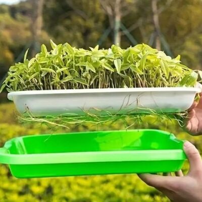 Plastična trodelna posuda za klijanje klica i uzgoj mikrobilja (32 cm)