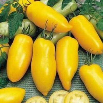 Žuti Hugo Paradajz paprika