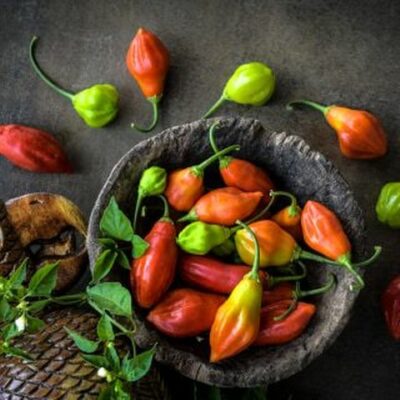 Aji Rainforest Chili